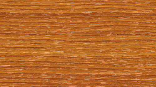 Streifen-Douglasie-27